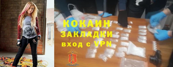 молекула духа Дмитриев