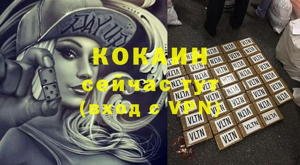 молекула духа Дмитриев