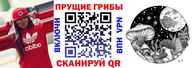 Купить где  Яхрома  Псилоцибиновые грибы GOLDEN TEACHER 